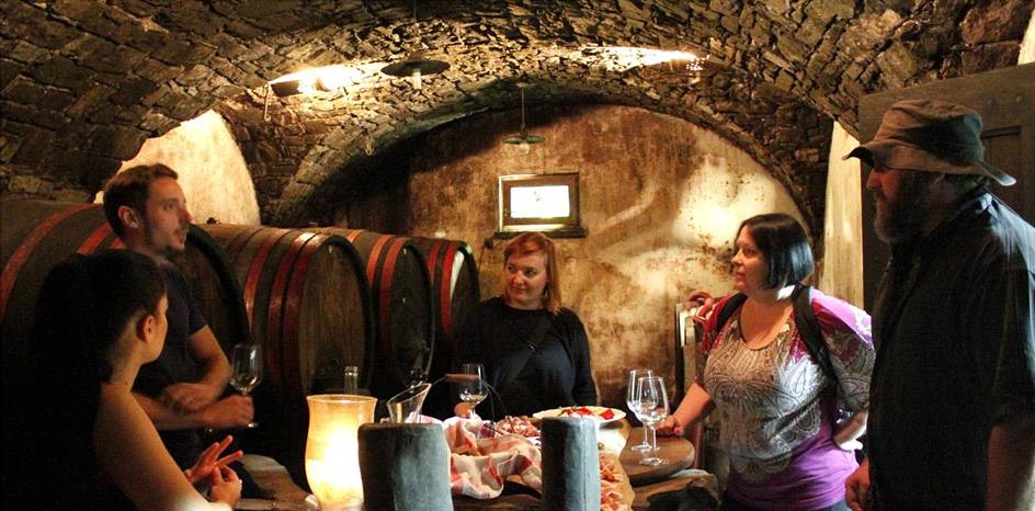 Degustacija v vinski kleti Vipava